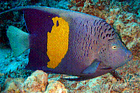 DSC09685 copie.jpg
