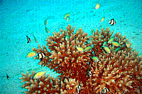 DSC09699 copie.JPG