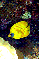 DSC09389 copie.JPG