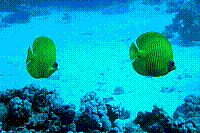 DSC09392 copie.jpg