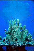 DSC09401 copie.JPG
