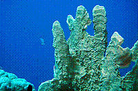 DSC09403 copie.JPG