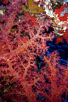 DSC09484 copie.JPG
