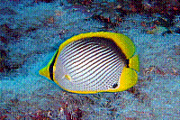 DSC09508 copie.JPG