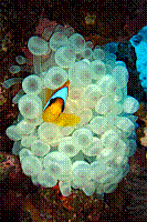DSC09566 copie.JPG