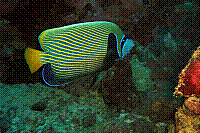 DSC09654 copie.JPG