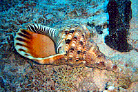 DSC09689 copie.jpg