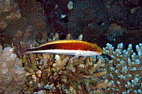 DSC09708.JPG