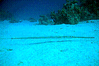 DSC09740 copie.jpg