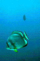 DSC09742 copie.jpg