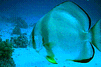 DSC09743 copie.JPG