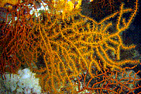 DSC09748 copie.jpg