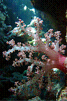 DSC09762 copie.JPG