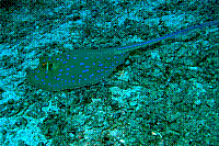 DSC09766 copie.JPG