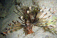 DSC09791 copie.JPG