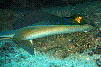 DSC09806 copie.jpg