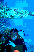 DSC09817.JPG
