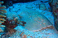DSC09821 copie.JPG
