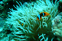 DSC09852 copie.JPG