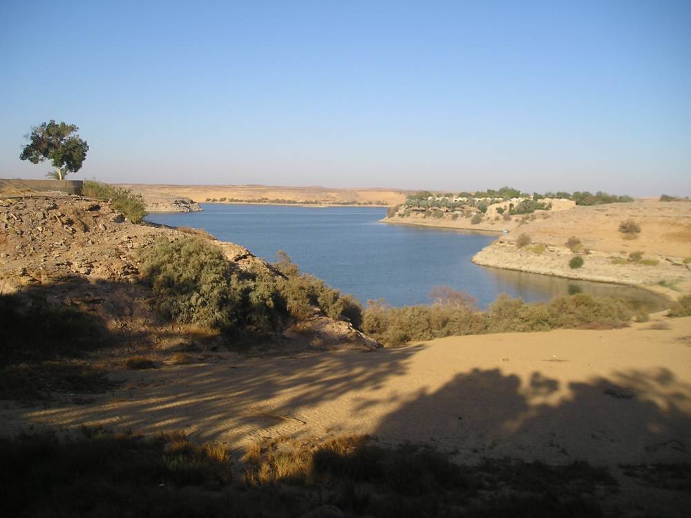 P2130053.JPG