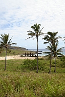 DSC00229 copie.jpg