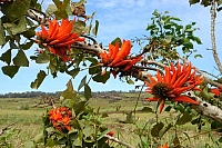 DSC00248 copie.jpg
