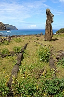 DSC00287 copie.jpg