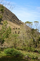DSC00289 copie.jpg