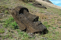 DSC00299 copie.jpg