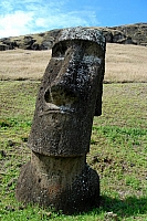 DSC00303 copie.jpg