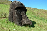 DSC00324 copie.jpg