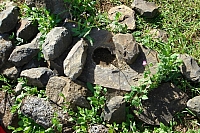 DSC00327 copie.jpg