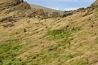 DSC00338 copie.jpg