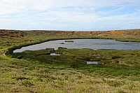 DSC00339 copie.jpg