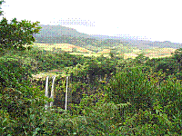 IMG_0073.jpg