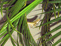 100_0054.JPG