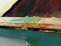 100_0064.JPG