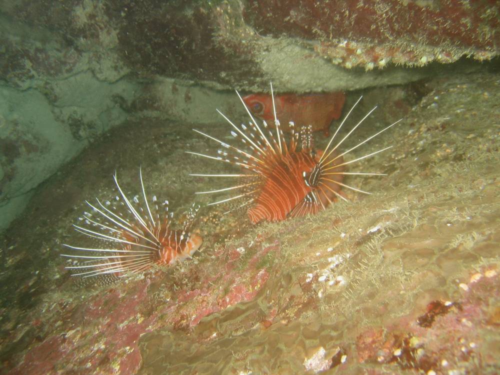 IMG_1285 copie.jpg