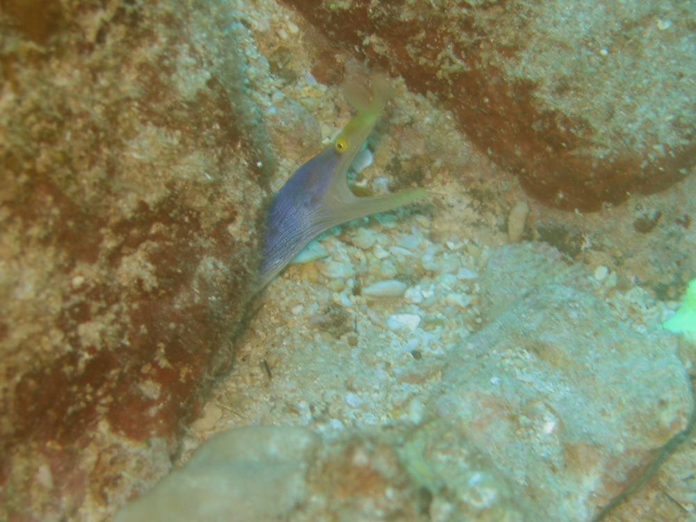 IMG_1290 copie.jpg