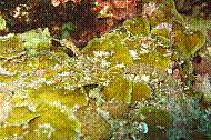 IMG_0145 copie.jpg