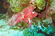 IMG_0156 copie.jpg