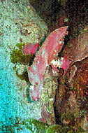 IMG_0158 copie.jpg