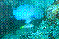 IMG_0168 copie.jpg