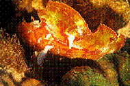 IMG_0236 copie.jpg