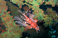 IMG_0289 copie.jpg