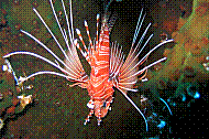 IMG_0290 copie.jpg