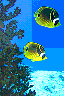 IMG_0291 copie.jpg