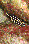 IMG_0302 copie.jpg