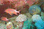 IMG_0359 copie.jpg
