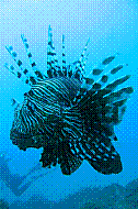 IMG_0418 copie.jpg